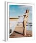 Raquel Welch-null-Framed Photo