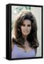 Raquel Welch-null-Framed Stretched Canvas