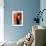 Raquel Welch-null-Framed Photo displayed on a wall