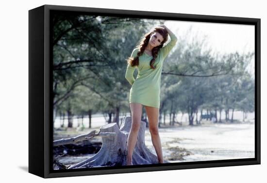 Raquel Welch-null-Framed Stretched Canvas