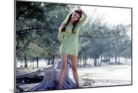 Raquel Welch-null-Mounted Photo