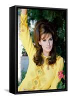 Raquel Welch-null-Framed Stretched Canvas