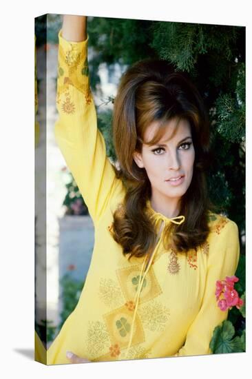 Raquel Welch-null-Stretched Canvas