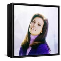 Raquel Welch-null-Framed Stretched Canvas