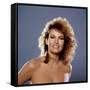 Raquel Welch-null-Framed Stretched Canvas