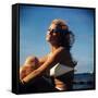 Raquel Welch-null-Framed Stretched Canvas