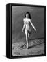 Raquel Welch-null-Framed Stretched Canvas