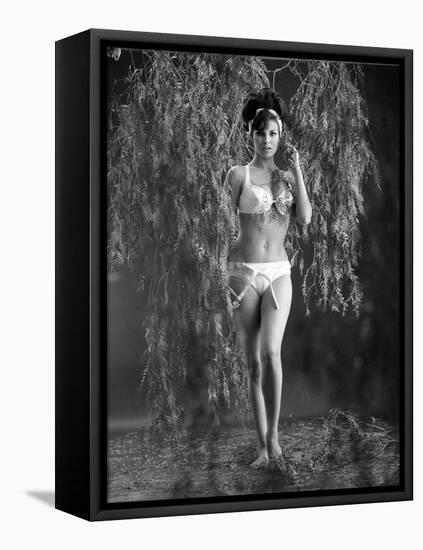 Raquel Welch-null-Framed Stretched Canvas