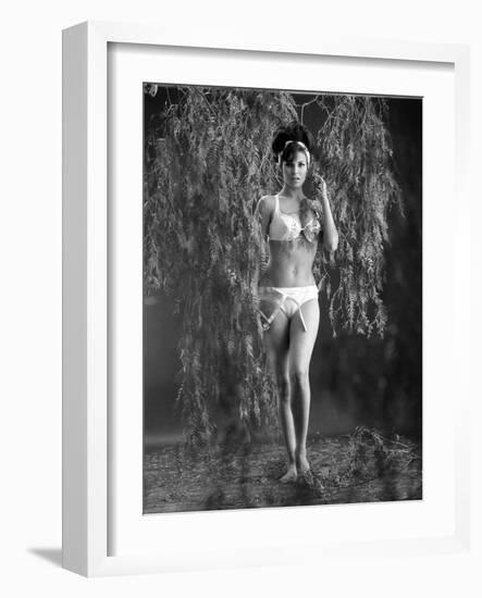 Raquel Welch-null-Framed Photo