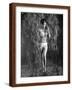 Brown Frame