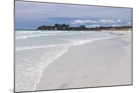 Rarawa Beach, North Island, New Zealand-Matthew Williams-Ellis-Mounted Photographic Print