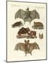 Rare Bats-null-Mounted Giclee Print