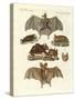 Rare Bats-null-Stretched Canvas
