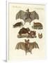 Rare Bats-null-Framed Giclee Print