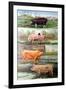 Rare Breed Pigs, 2009-Alex Williams-Framed Giclee Print