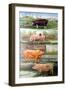 Rare Breed Pigs, 2009-Alex Williams-Framed Giclee Print