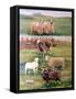 Rare Breed Sheep, 2009-Alex Williams-Framed Stretched Canvas