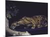 Rare Clouded Leopard Crouching near Tree, Asia-Nina Leen-Mounted Photographic Print