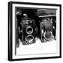 Rare Finds II-Susan Bryant-Framed Photographic Print