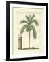 Rare Trees-null-Framed Giclee Print