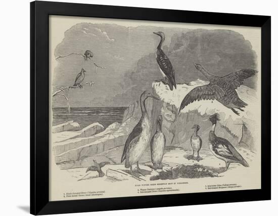 Rare Winter Birds Recently Shot in Yorkshire-null-Framed Giclee Print