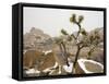 Rare Winter Snowfall, Hidden Valley, Joshua Tree National Park, California, USA-Richard Cummins-Framed Stretched Canvas