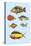 Rarest Curiosities of the Fish of the Indies-Louis Renard-Stretched Canvas