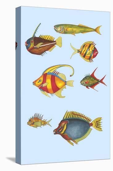 Rarest Curiosities of the Fish of the Indies-Louis Renard-Stretched Canvas