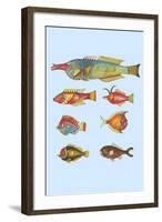 Rarest Curiosities of the Fish of the Indies-Louis Renard-Framed Art Print