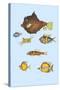 Rarest Curiosities of the Fish of the Indies-Louis Renard-Stretched Canvas