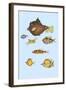 Rarest Curiosities of the Fish of the Indies-Louis Renard-Framed Art Print