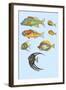 Rarest Curiosities of the Fish of the Indies-Louis Renard-Framed Art Print