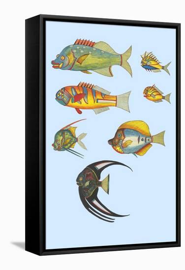 Rarest Curiosities of the Fish of the Indies-Louis Renard-Framed Stretched Canvas