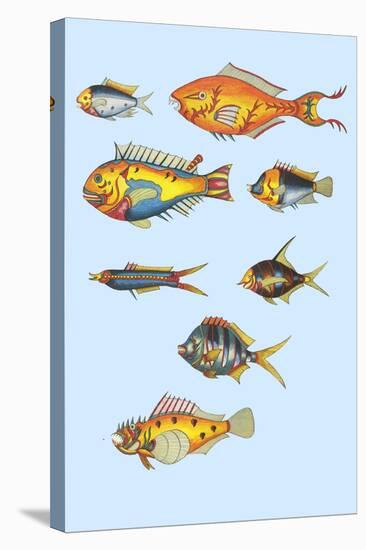 Rarest Curiosities of the Fish of the Indies-Louis Renard-Stretched Canvas