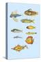 Rarest Curiosities of the Fish of the Indies-Louis Renard-Stretched Canvas