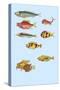 Rarest Curiosities of the Fish of the Indies-Louis Renard-Stretched Canvas