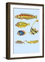 Rarest Curiosities of the Fish of the Indies-Louis Renard-Framed Art Print