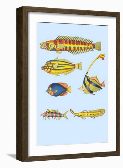 Rarest Curiosities of the Fish of the Indies-Louis Renard-Framed Art Print