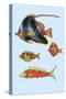 Rarest Curiosities of the Fish of the Indies-Louis Renard-Stretched Canvas