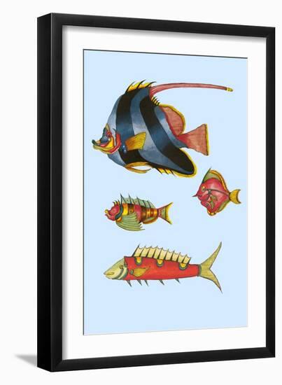 Rarest Curiosities of the Fish of the Indies-Louis Renard-Framed Art Print