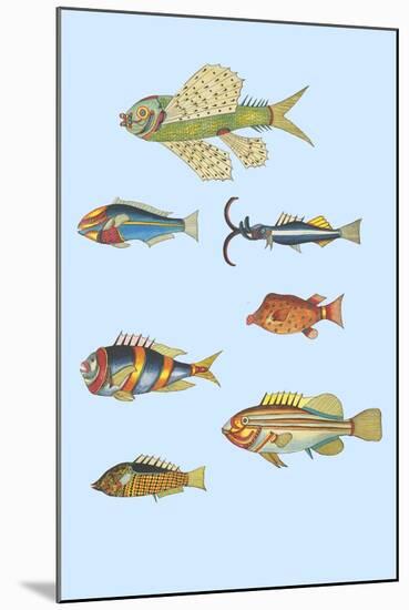 Rarest Curiosities of the Fish of the Indies-Louis Renard-Mounted Art Print