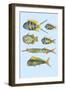 Rarest Curiosities of the Fish of the Indies-Louis Renard-Framed Art Print