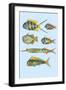 Rarest Curiosities of the Fish of the Indies-Louis Renard-Framed Art Print