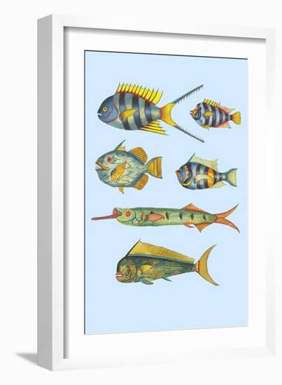 Rarest Curiosities of the Fish of the Indies-Louis Renard-Framed Art Print