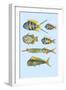 Rarest Curiosities of the Fish of the Indies-Louis Renard-Framed Art Print
