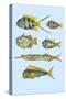 Rarest Curiosities of the Fish of the Indies-Louis Renard-Stretched Canvas