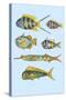 Rarest Curiosities of the Fish of the Indies-Louis Renard-Stretched Canvas