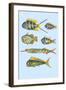 Rarest Curiosities of the Fish of the Indies-Louis Renard-Framed Art Print