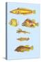 Rarest Curiosities of the Fish of the Indies-Louis Renard-Stretched Canvas