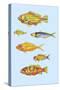 Rarest Curiosities of the Fish of the Indies-Louis Renard-Stretched Canvas